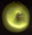 ** PLEASE DESCRIBE THIS IMAGE **